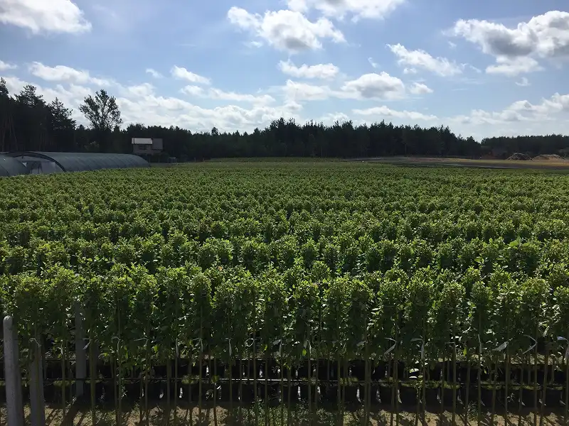 Фотогалерея 05