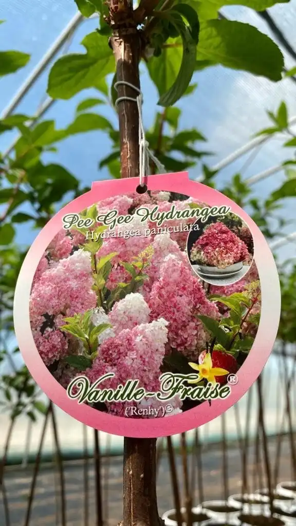 Фотогалерея 10